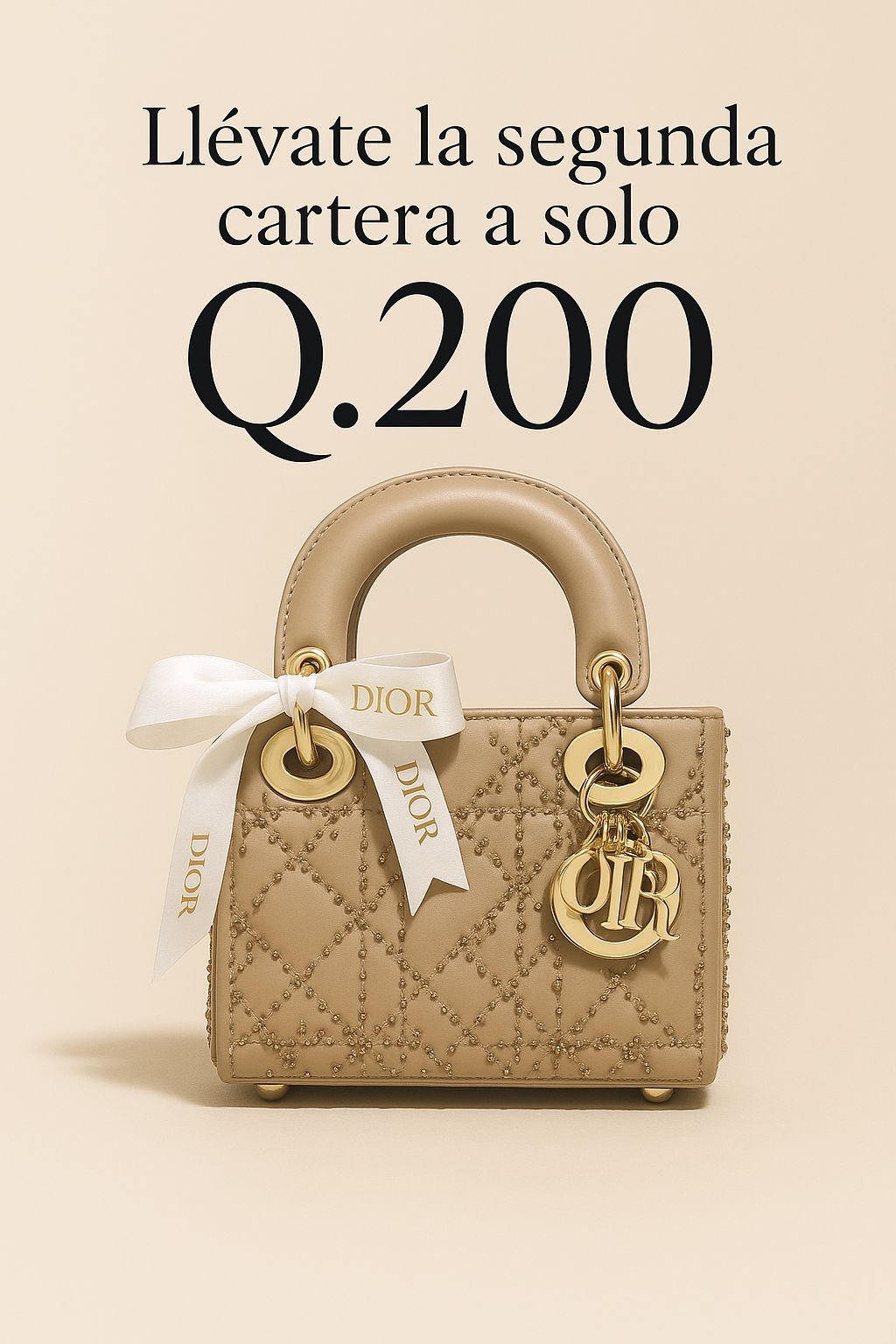 CARTERAS DIOR